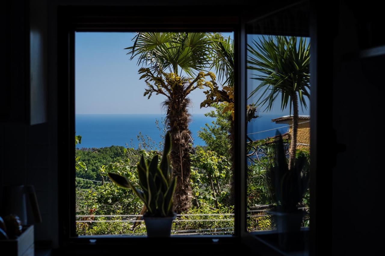 Nonna Carmela Apartment SantʼAgata sui Due Golfi Exteriör bild